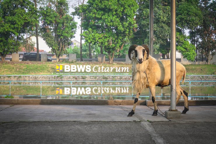Gambar kegiatan