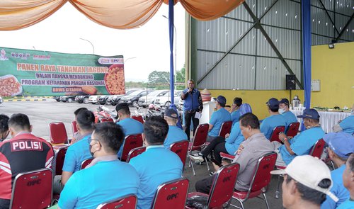 Kegiatan Panen Raya Tanaman Jagung