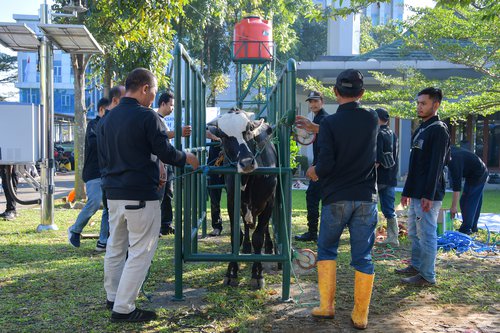 Pelaksanaan Qurban di BBWS Citarum