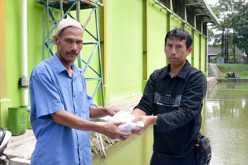Pelaksanaan Qurban di BBWS Citarum