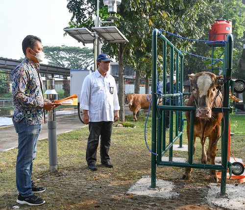 Pelaksanaan Kurban di Lingkungan Balai Besar Wilayah Sungai Citarum