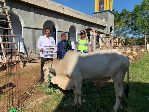 Pelaksanaan Qurban 1443 H Balai Besar Wilayah Sungai Citarum.