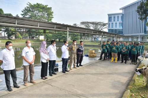 Pelaksanaan Qurban 1443 H Balai Besar Wilayah Sungai Citarum.