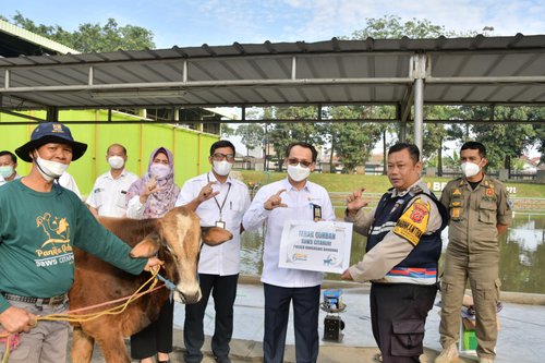 Pelaksanaan Qurban 1443 H Balai Besar Wilayah Sungai Citarum.