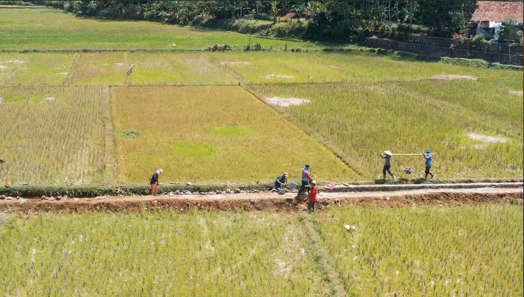 Gambar kegiatan